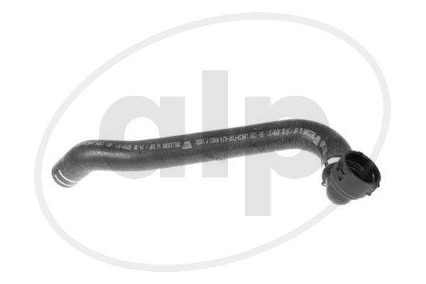 ALP-007783
