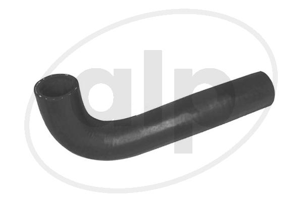 ALP-003536