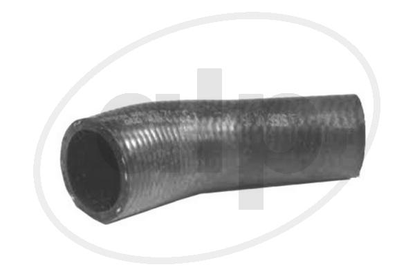ALP-003607