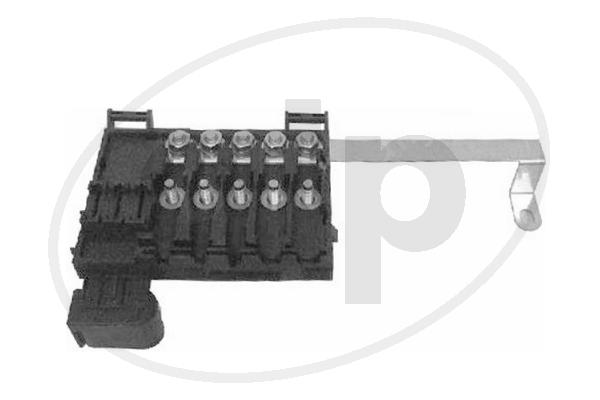 ALP-001596