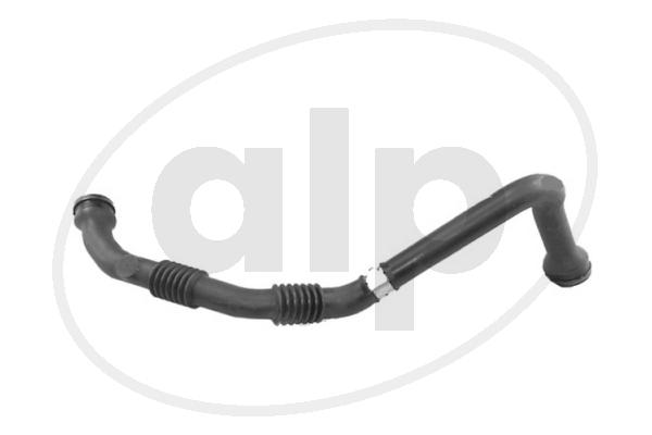 ALP-006126
