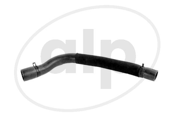 ALP-004437
