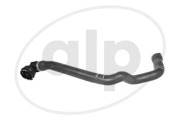ALP-007576