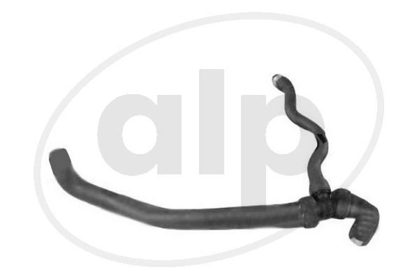 ALP-007062