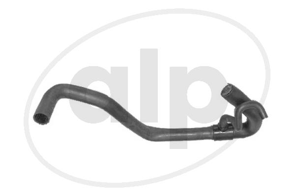 ALP-003808