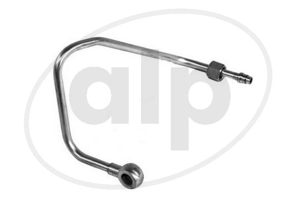 ALP-004862
