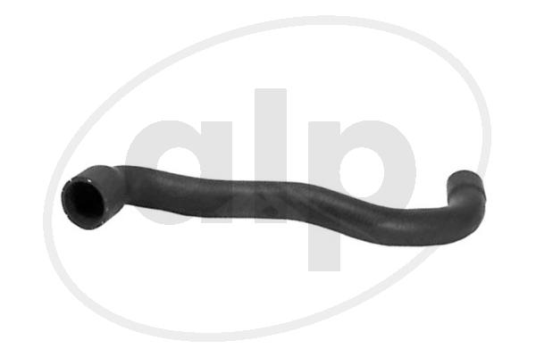 ALP-007809
