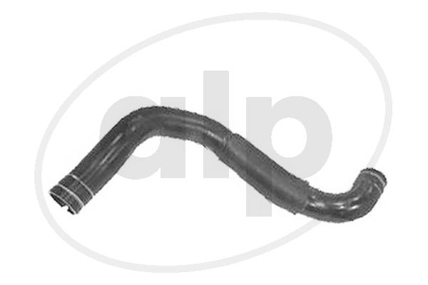 ALP-003785