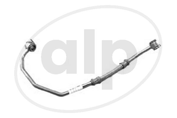 ALP-004851