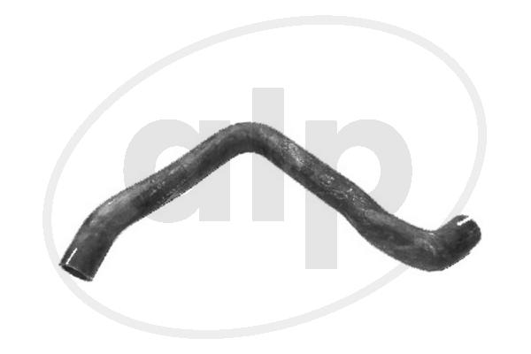 ALP-003923