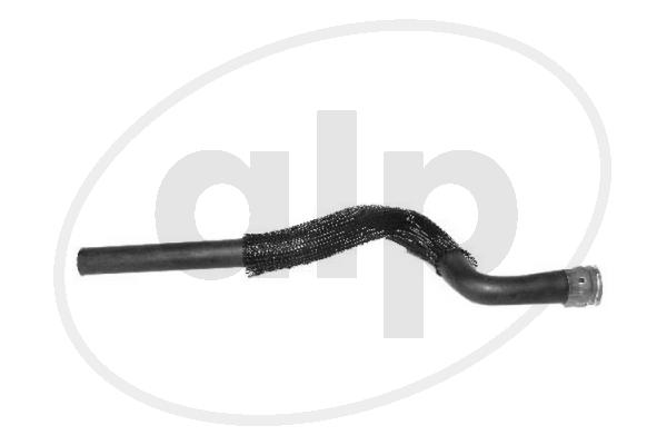 ALP-004196