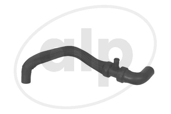 ALP-004193