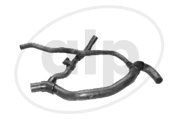 ALP-003919