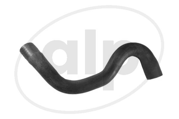ALP-007019
