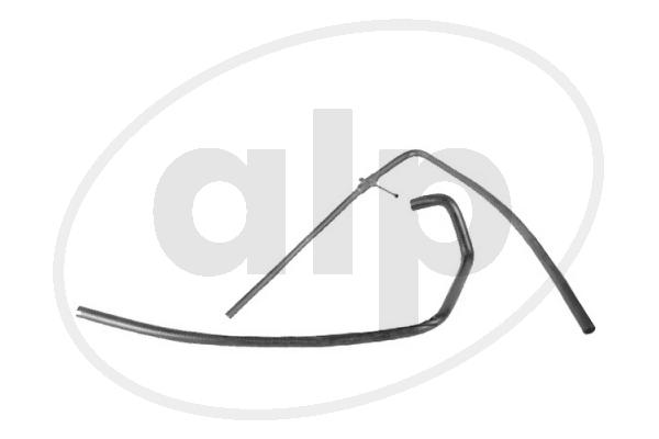 ALP-004381