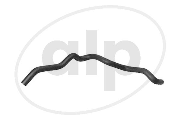 ALP-004205