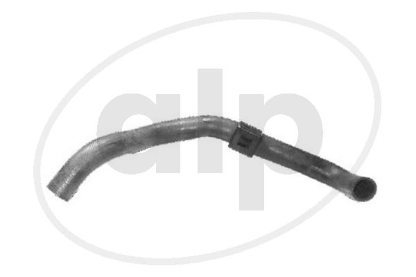 ALP-003945