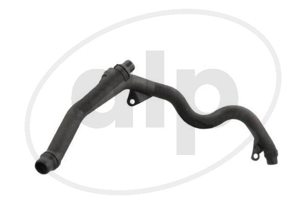 ALP-006255