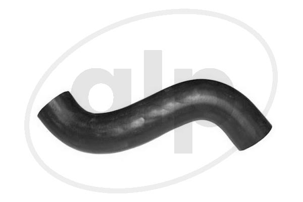 ALP-007307