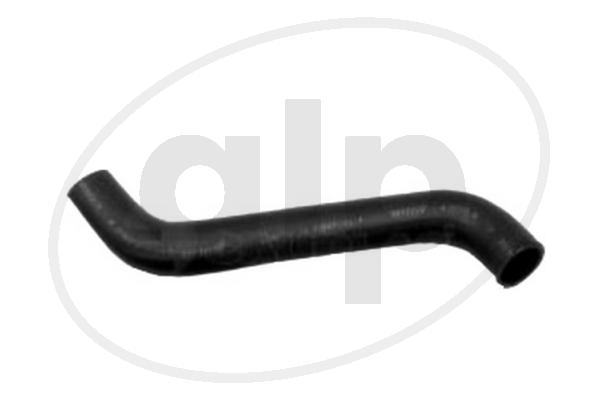 ALP-004355