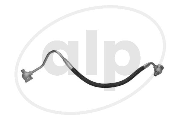 ALP-004856