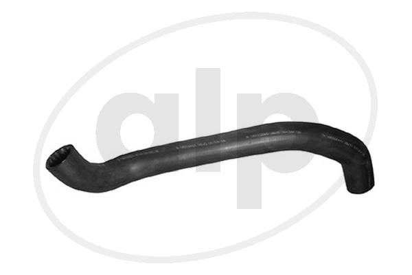 ALP-002495