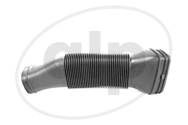 ALP-006300