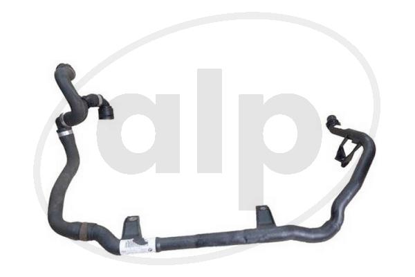 ALP-006262