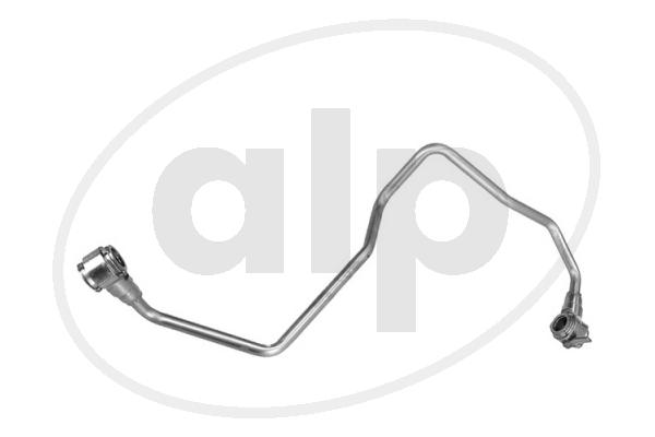 ALP-004836