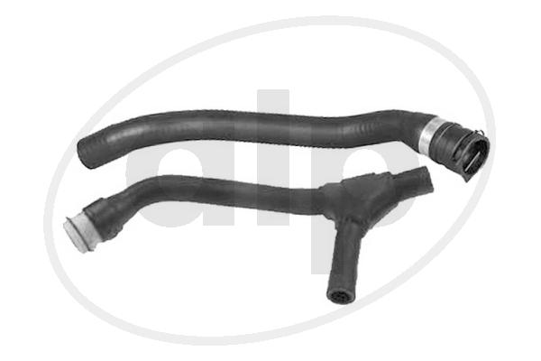 ALP-004509