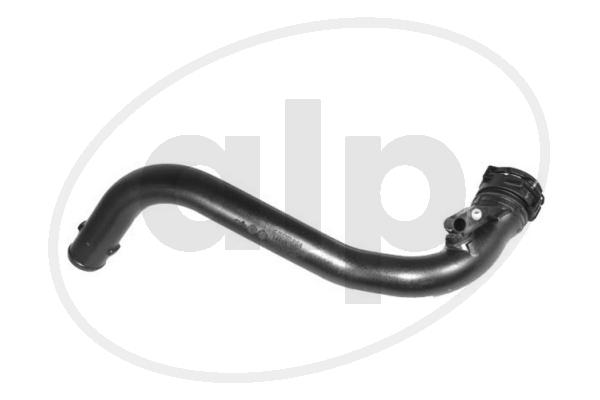 ALP-006073