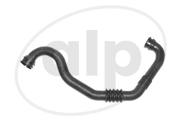 ALP-006145