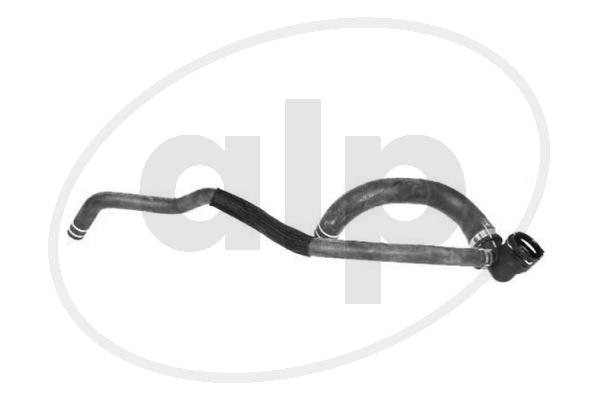 ALP-006646