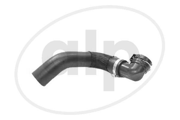 ALP-007105