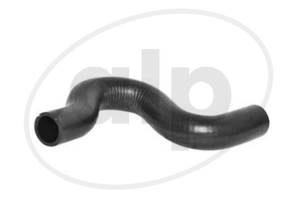 ALP-004198