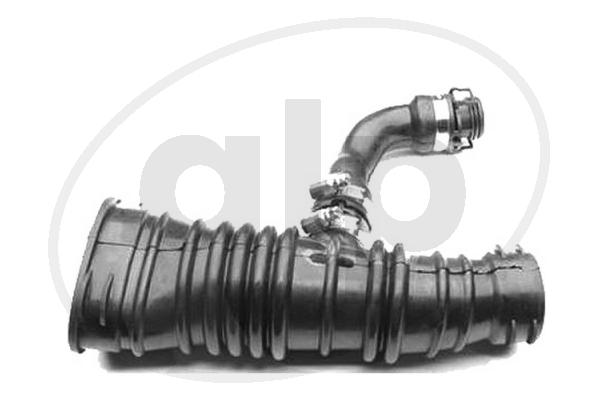 ALP-005081