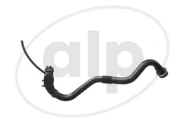 ALP-006106