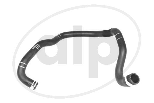 ALP-007558