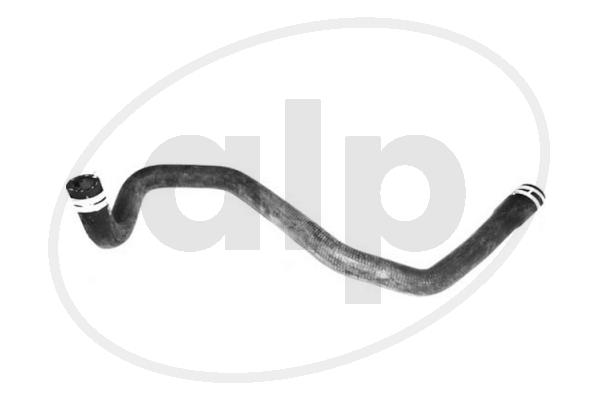 ALP-007519
