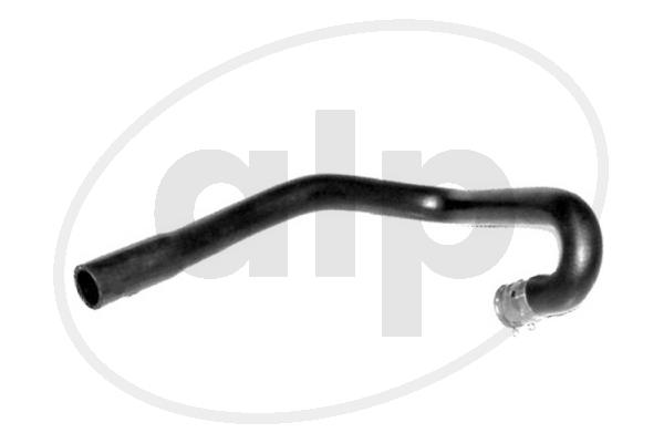 ALP-003898