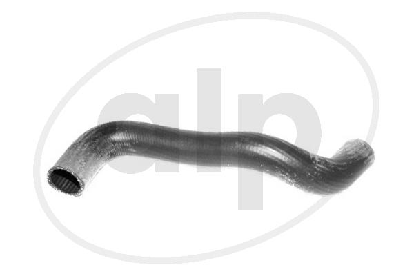ALP-004338