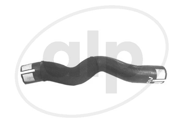 ALP-006653