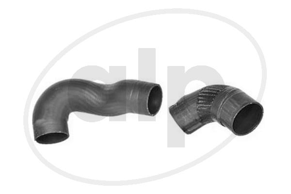 ALP-005620