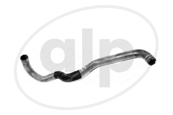 ALP-005624