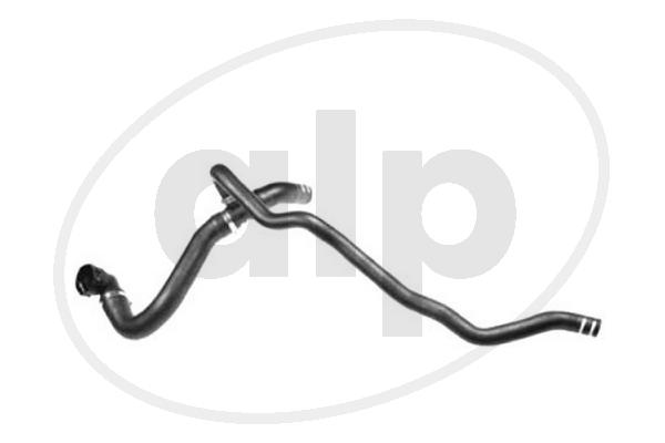 ALP-007125