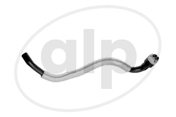 ALP-004121