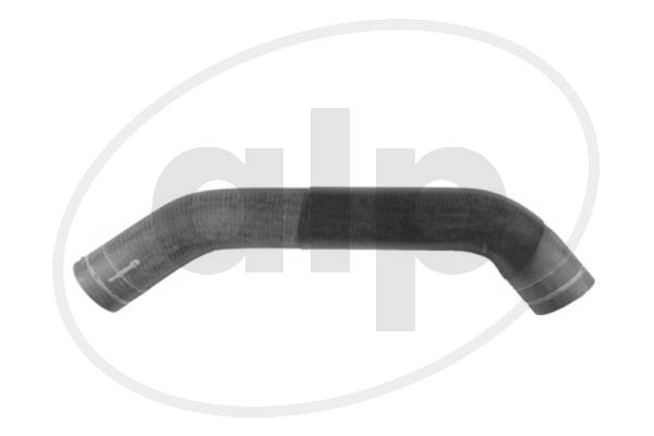 ALP-005595