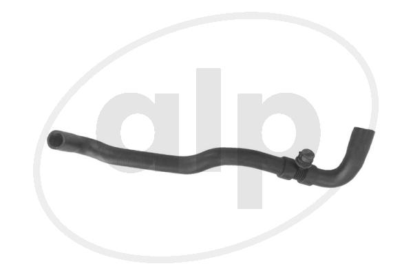 ALP-004171