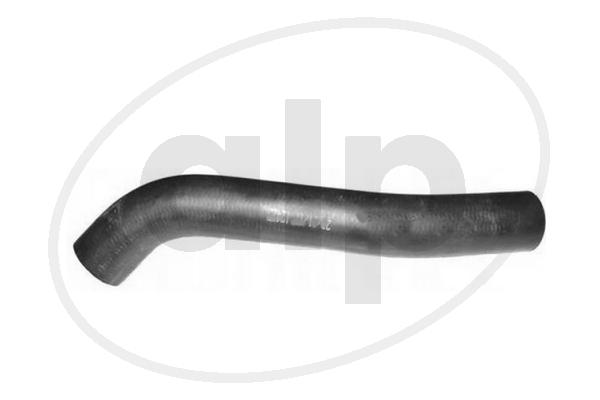 ALP-007306