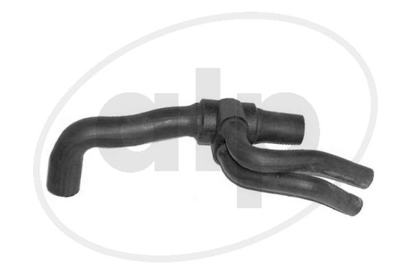 ALP-003821
